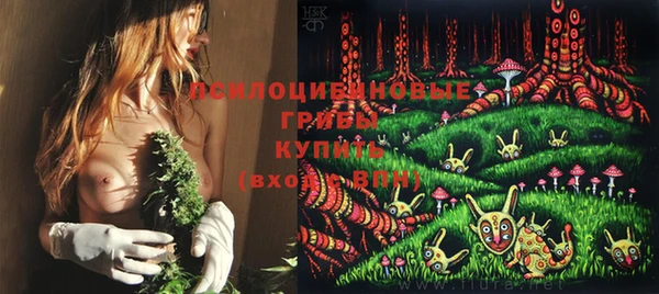 ALPHA-PVP Богородицк