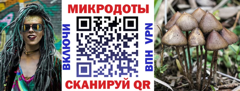 Псилоцибиновые грибы мицелий  даркнет сайт  Горячий Ключ 